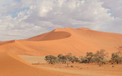 Förderung der Deutsch-Namibischen-Wasserstoff-Partnerschaft