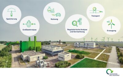 Ein Jahr Energiepark Bad Lauchstädt: Erfolge und Herausforderungen
